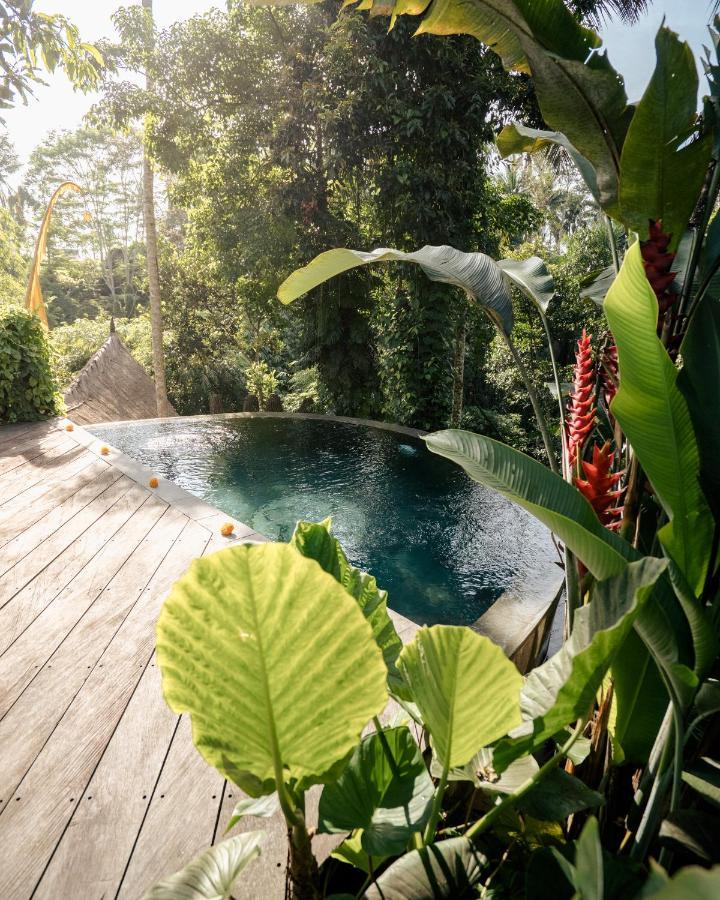 فندق Basundari Retreat Ubud المظهر الخارجي الصورة