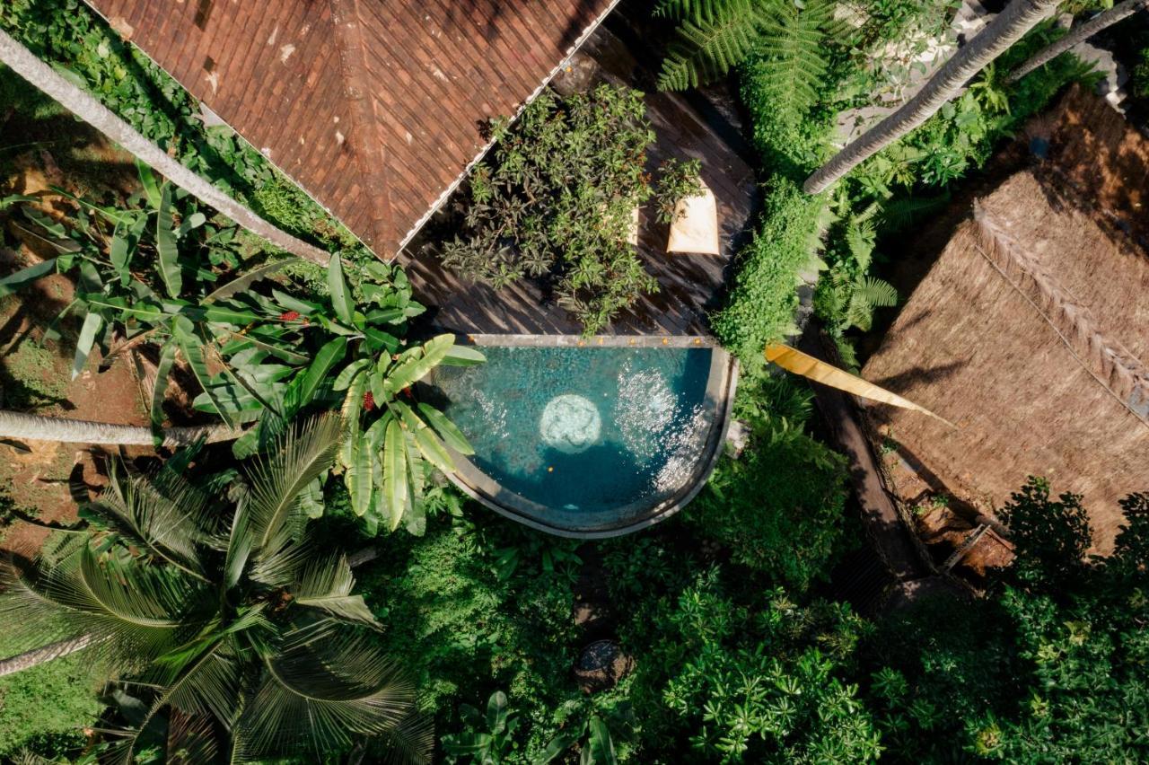 فندق Basundari Retreat Ubud المظهر الخارجي الصورة
