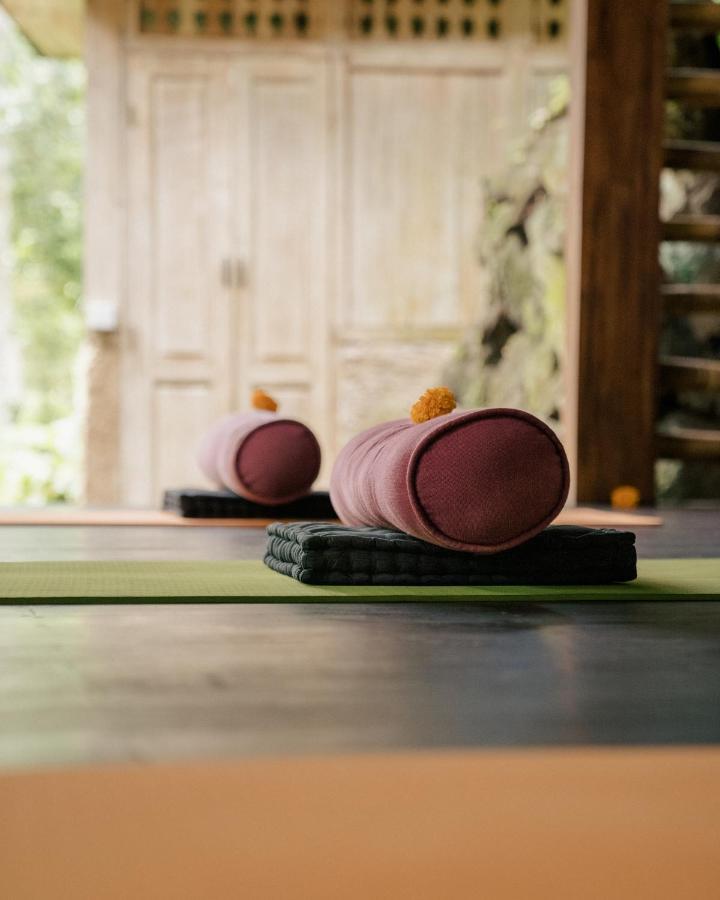 فندق Basundari Retreat Ubud المظهر الخارجي الصورة